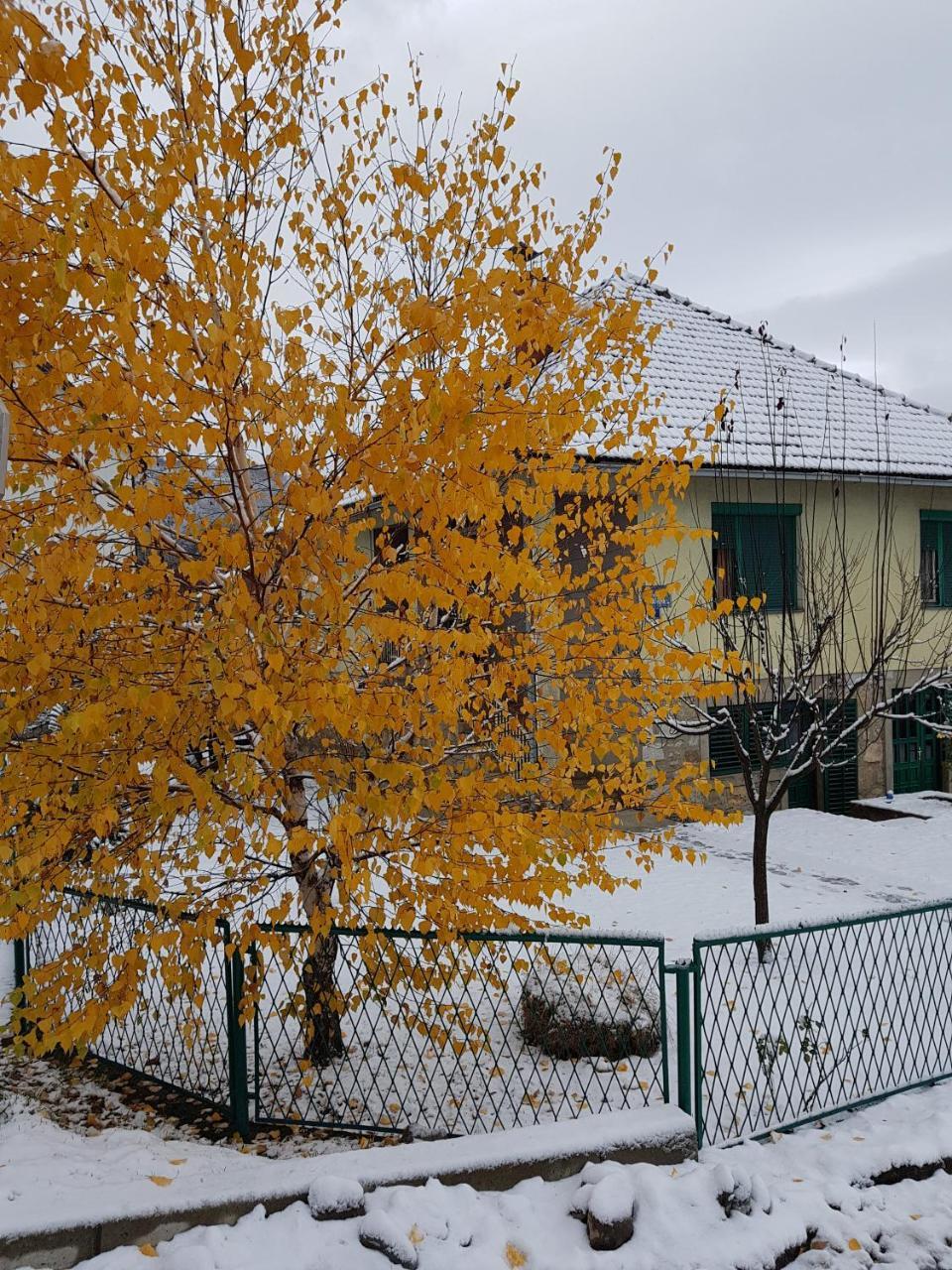 Apartment Center Kolasin Exterior photo